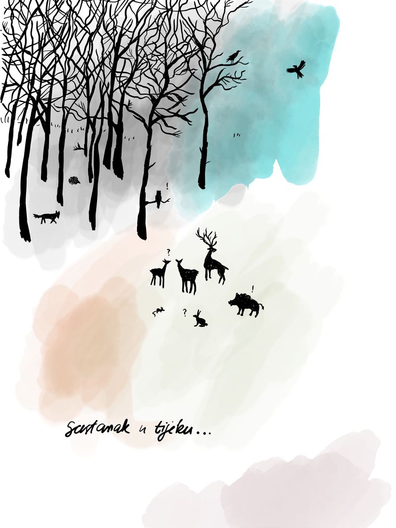 Illustration of a brown bear from the book