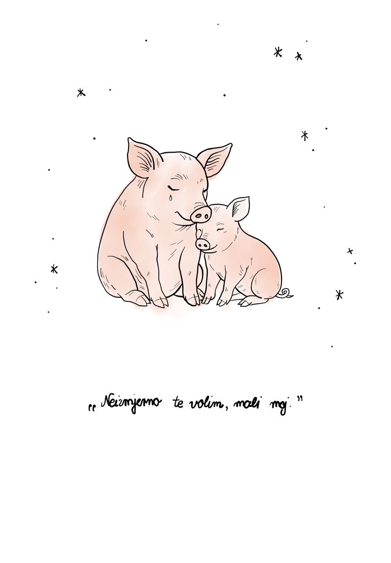 Illustration of an owl on a tree branch from the book